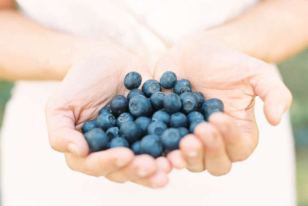 shooting_inspiration_mariage_foret_bois_champetre_violet_mauve_decoration_florale_photographe_blog_2888-7474877