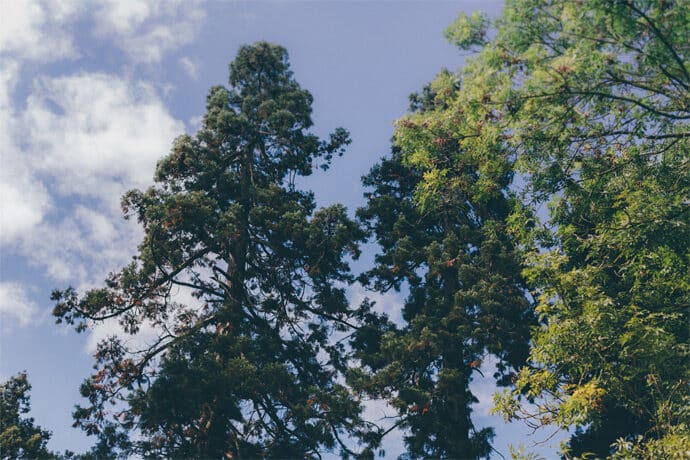 love_session_noce_de_coton_amoureux_love_decoration_photographe_blog_mariage_43-4442371