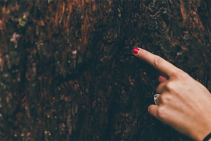 love_session_noce_de_coton_amoureux_love_decoration_photographe_blog_mariage_50-5787283