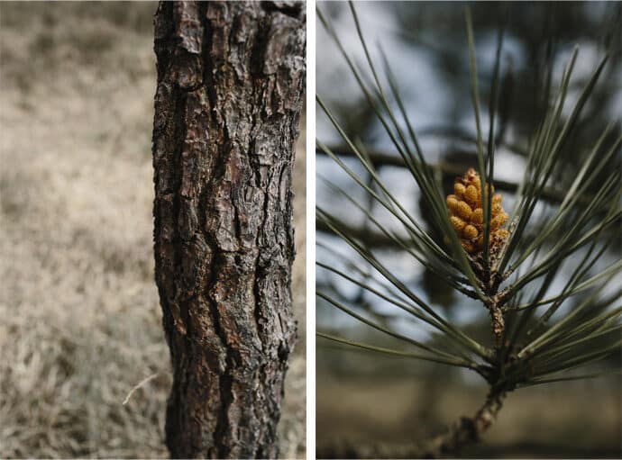seance_dengagement_chloe_gregory_love_session_seance_couple_photographe_aurelien_bretonniere_blog_mariage_12-8694090