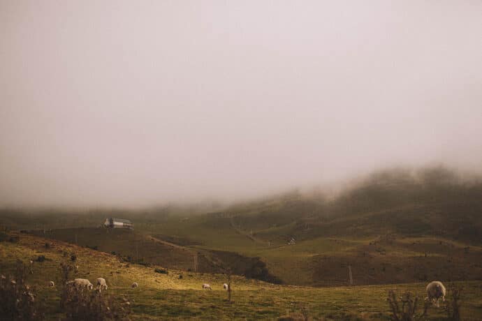 love_session_de_fanny_et_corentin_dans_les_pyrenees_nouvelle_aquitaine_photographe_wedding_blog_mariage_donnemoitamain_03-3924140