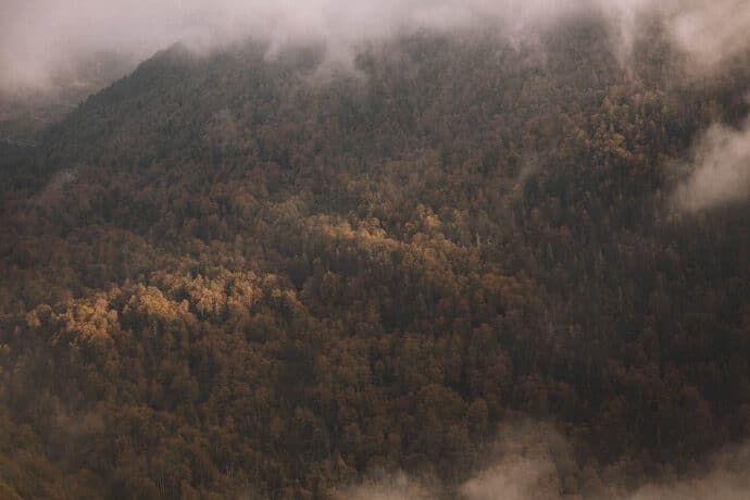love_session_de_fanny_et_corentin_dans_les_pyrenees_nouvelle_aquitaine_photographe_wedding_blog_mariage_donnemoitamain_20-7890486