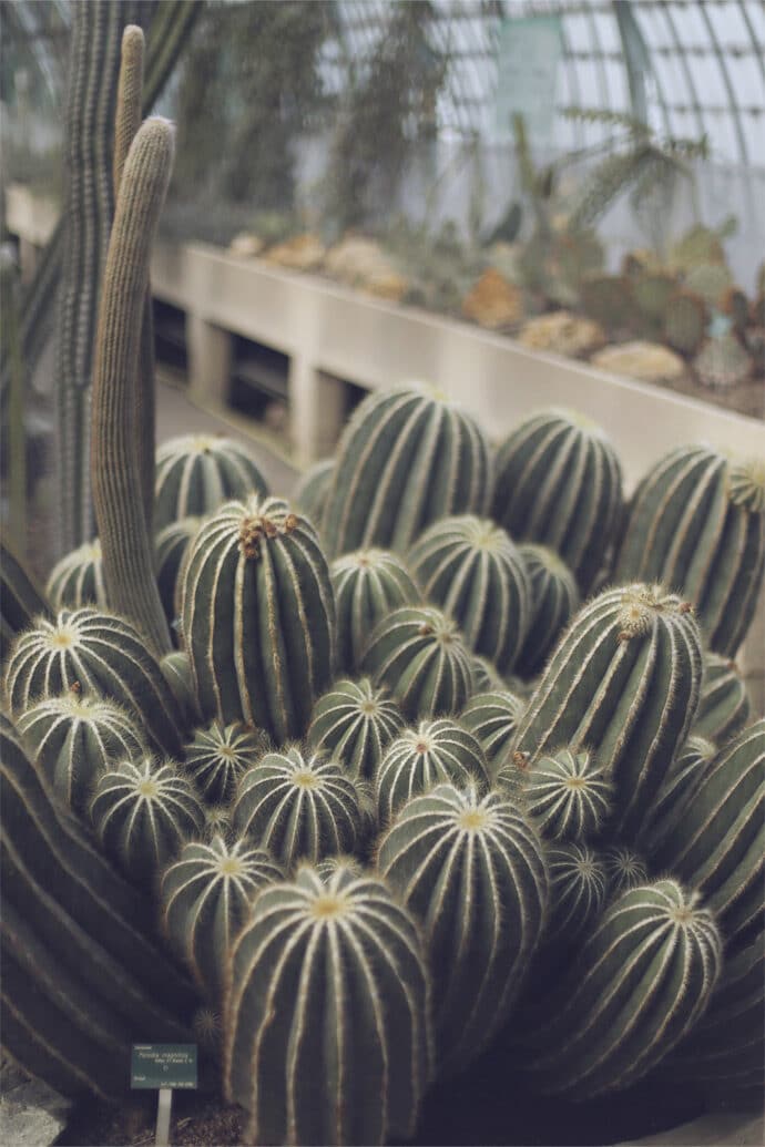 elodie_michaud_collection_2016_paris_robes_de_mariee_wedding_blog_mariage_06-2361620