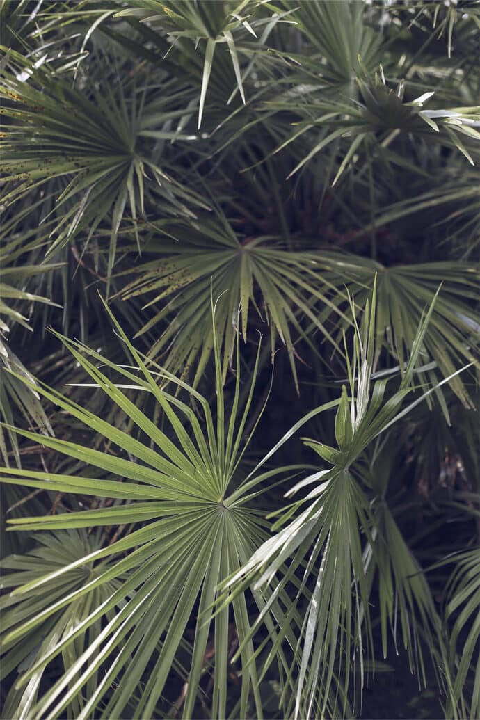 elodie_michaud_collection_2016_paris_robes_de_mariee_wedding_blog_mariage_36-7411431