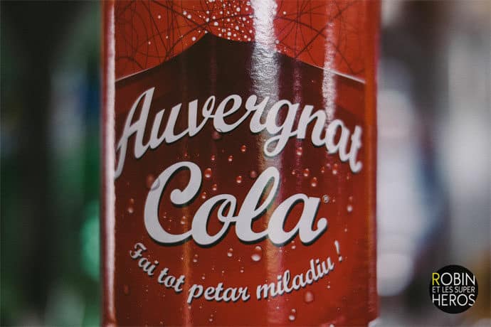 le_mariage_de_magali_et_antoine_puy_de_dome_auvergne_photographe_blog_47-6387290