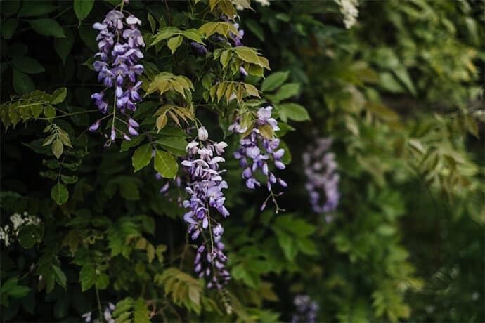 mariage_celine_vianney_lafermedarmenon_iledefrance_weddingplanner_decoration_champetre_ethique_ecoresponsable_photographe_guillaume_blanchon_blog_mariage_03-8681872