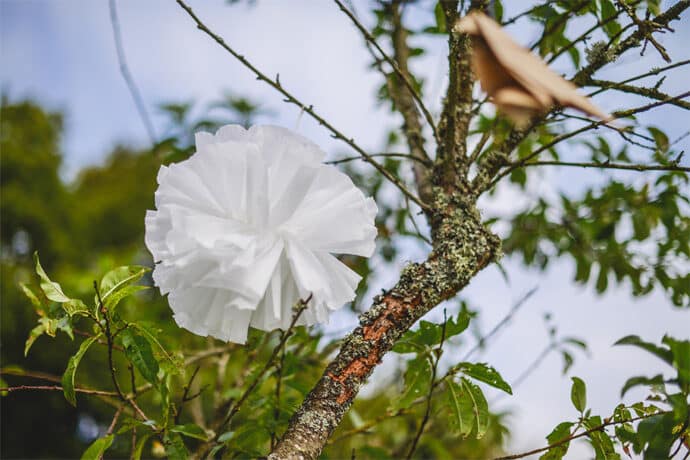 mariage_champetre_marine_eric_photographe_ce_jour_la_bourgogne_blog_07-9282684