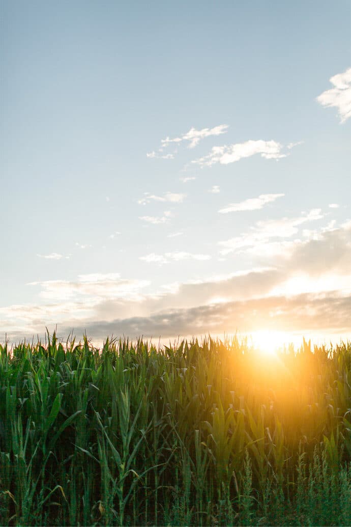 mariage_celine_benjamin_vendee_pays_de_la_loire_decoration_lieu_de_reception_photographe_wedding_blog_021-8242263