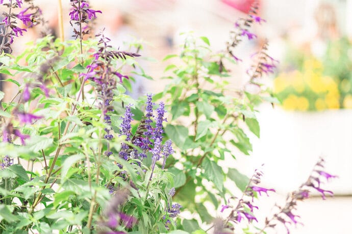 mariage_celine_benjamin_vendee_pays_de_la_loire_decoration_lieu_de_reception_photographe_wedding_blog_44-3268573