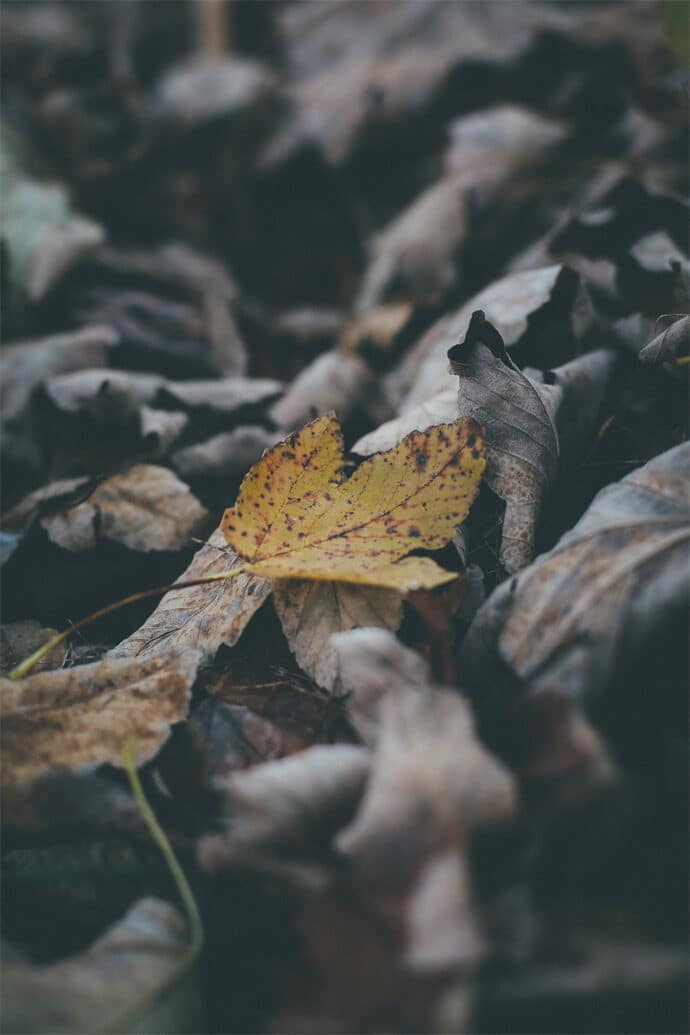 manon_gontero_collection_2016_noces_de_bois_italie_robes_de_mariee_photographe_soul_pics_wedding_blog_mariage_12-8797799