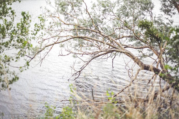 shooting_inspiration_mariage_robes_de_maric3a9e_salome_gautard_boheme_decoration_champetre_photographe_blog_01-8689955