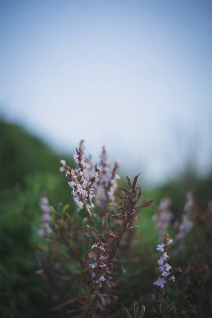 shooting_inspiration_mariage_theme_marin_decoration_papeterie_photographe_blog_30-4811158