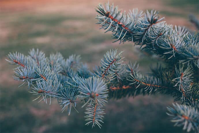mariage_charlotte_stephane_departement_loire_auvergne_rhone_alpes_decoration_lieu_de_reception_photographe_robe_de_mariee_blog_01_21-8583998
