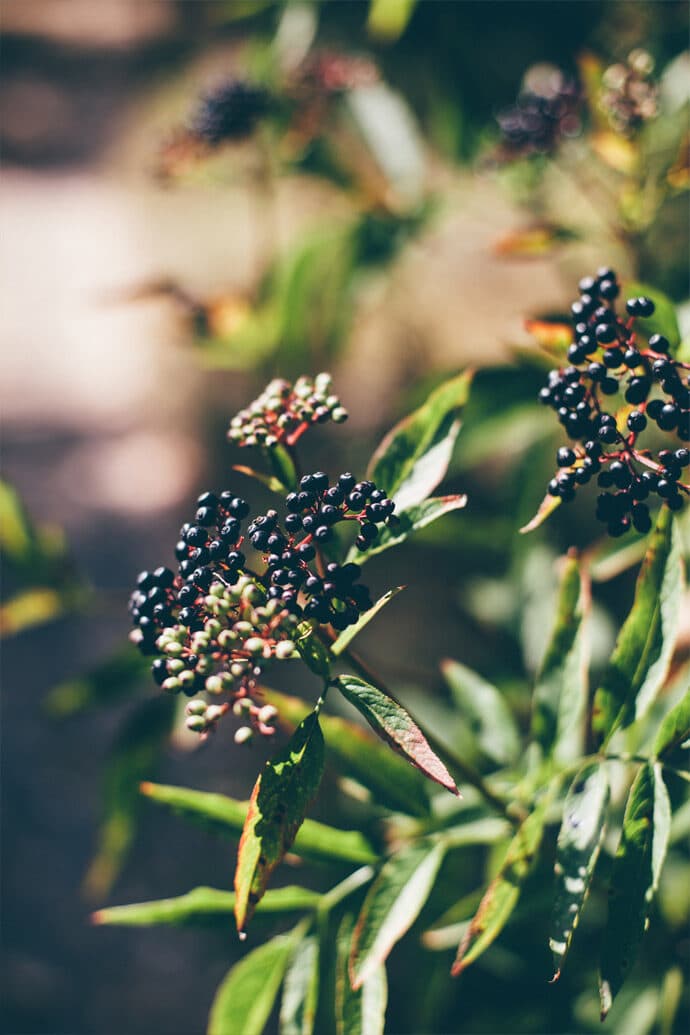 mariage_charlotte_stephane_departement_loire_auvergne_rhone_alpes_decoration_lieu_de_reception_photographe_robe_de_mariee_blog_19-2620879