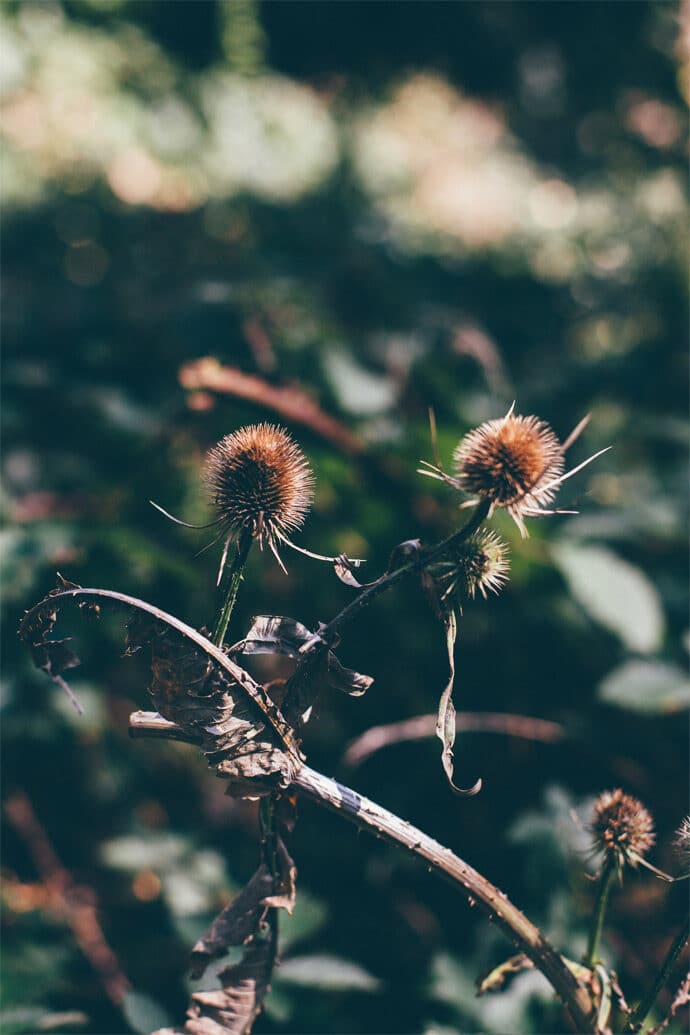 mariage_charlotte_stephane_departement_loire_auvergne_rhone_alpes_decoration_lieu_de_reception_photographe_robe_de_mariee_blog_27-9638317
