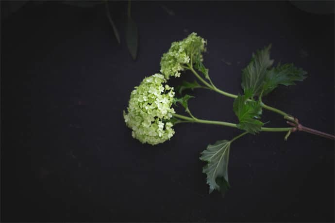 shooting_nordique_hiver_decoration_florale_robes_de_mariee_mariage_photographe_02-2218768