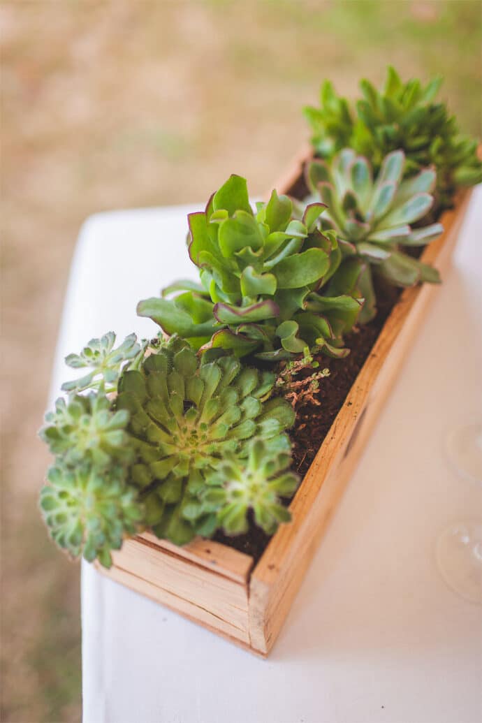 le_mariage_retro_de_c_et_loire_atlantique_photographe_camille_marciano_decoration_blog_55-5531059