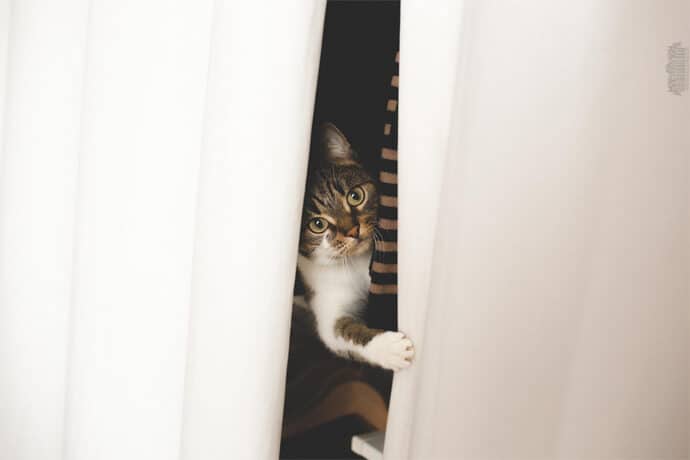 mariage_emmeline_matthieu_haute_savoie_blog_22-3436210