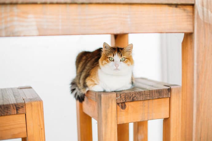 mariage_champetre_boheme_aurore_et_vivien_region_aquitaine_photographe_mariage_studiohuit_blog_05-2688802