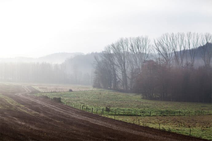 shooting_inspiration_mariage_urban_nature_decoration_robes_de_mariee_caroline_quesnel_photographe_raphael_keita_bijoux_make_up_coiffure_wedding_blog_donne_moi_ta_main_15-6398373