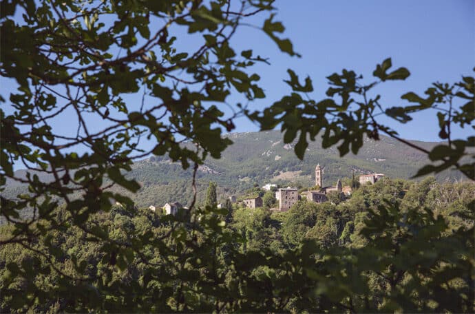 mariage_fanny_clara_gautier_corse_robe_de_mariee_traiteur_lieu_salle_reception_photographe_may_june_photography_blog_mariage_blog_mariage_01-2680853