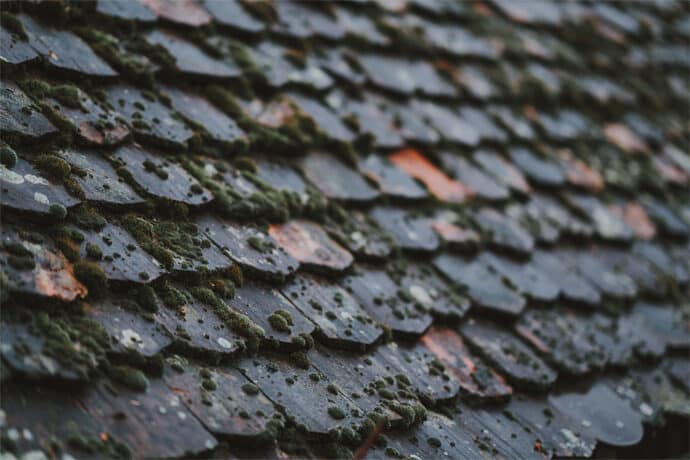 shooting_dinspiration_mariage_theme_hivernal_en_alsace_robe_de_mariee_photographe_traiteur_patissier_chocolatier_decoration_blog_mariage_01-7262557