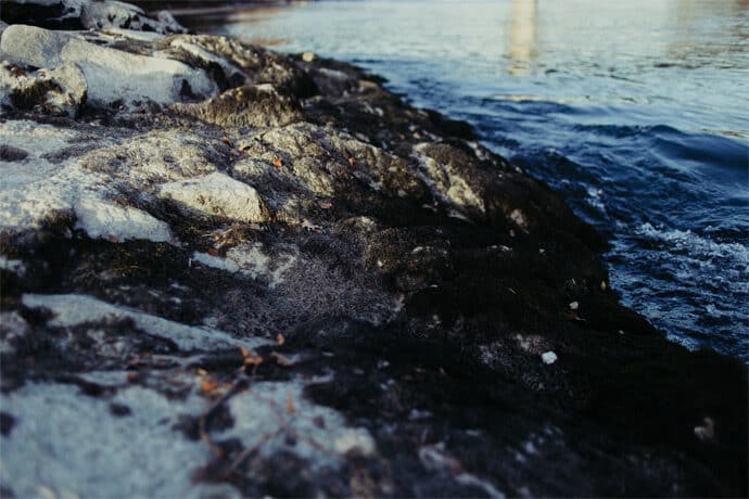 shooting_inspiration_mariage_la_vague_a_l_ame_nature_robe_de_mariee_headband_decoration_patisserie_photographe_mariage_nicky_rasa_auvergne_rhone_alpes_blog_12-6239169