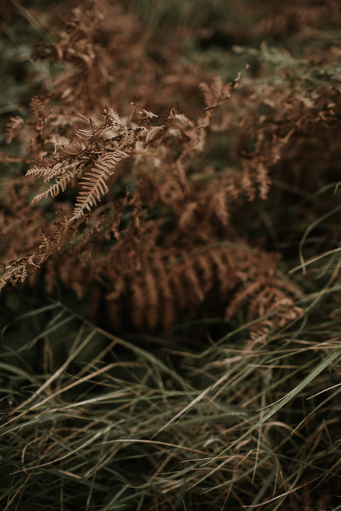 mariage au manoir de la cour