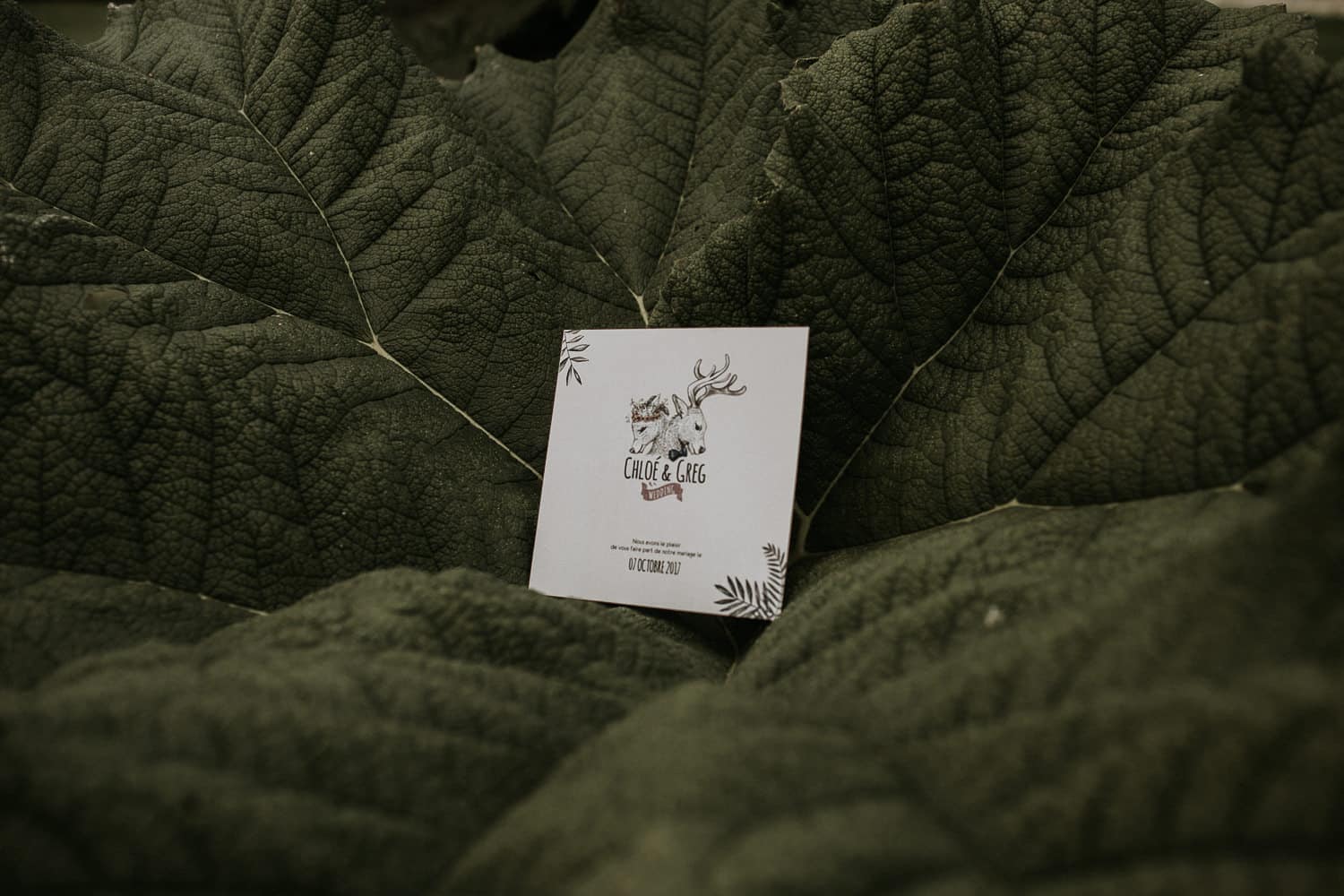 photographe normandie